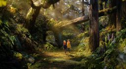 Download Wildwood wallpapers 4